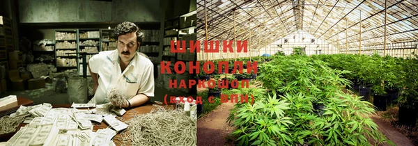 jwh Ельня