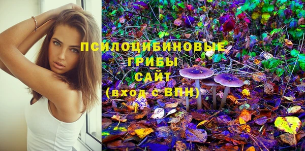 jwh Ельня