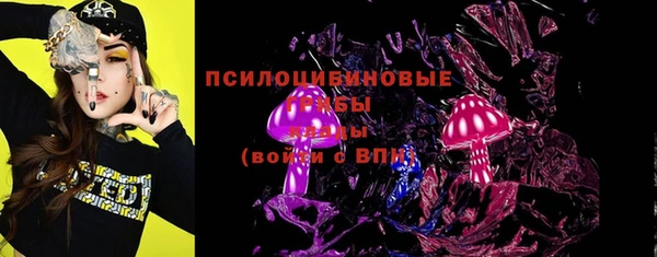 apvp Елизово