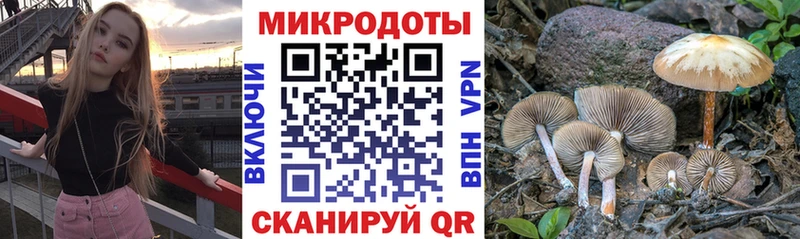 Галлюциногенные грибы мухоморы  Купить закладки  Мегион 